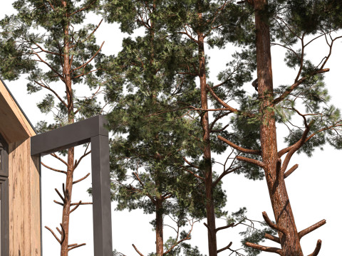 House Forest Cottage Vol 01 3Dモデル