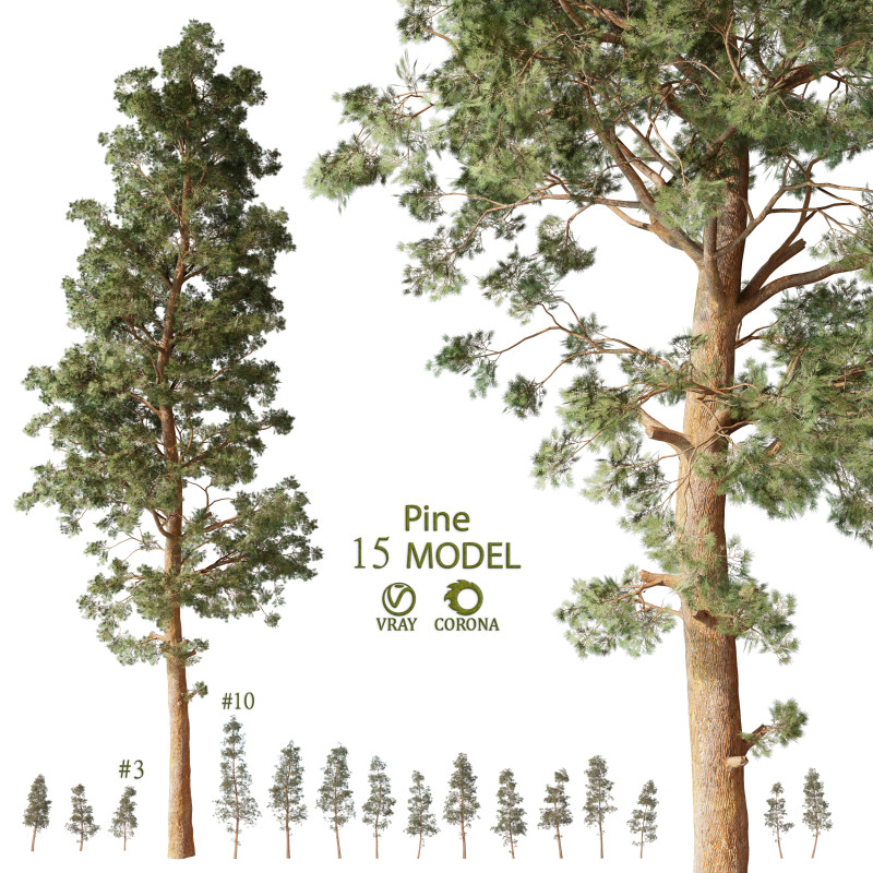 Pine tree pack vol 01 3Dモデル .c4d .max .obj .3ds .fbx .stl .blend 