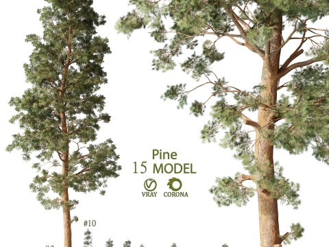Pine tree pack vol 01 3Dモデル