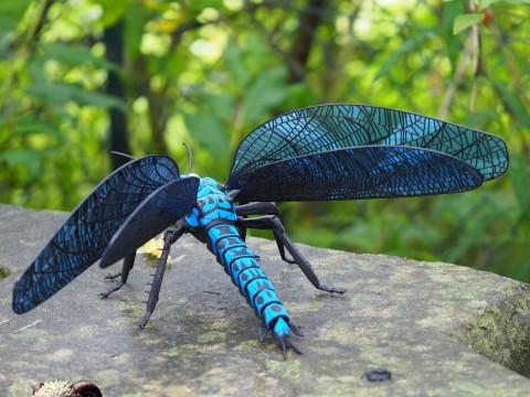 Meganeura Giant Prehistoric Dragonfly 3D Print Model