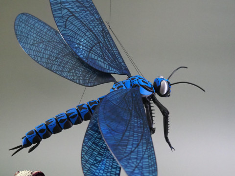 Meganeura Giant Prehistoric Dragonfly 3D Print Model