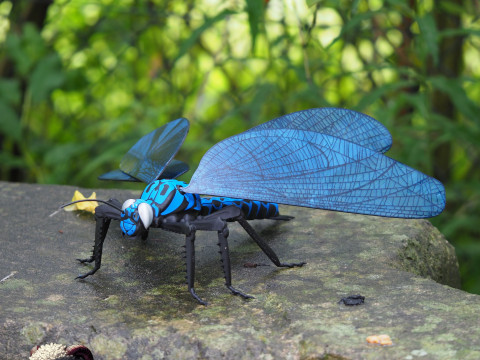 Meganeura Giant Prehistoric Dragonfly 3D Print Model