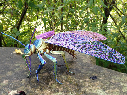 Meganeura Giant Prehistoric Dragonfly 3D Print Model