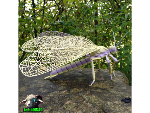 Meganeura Giant Prehistoric Dragonfly 3D Print Model