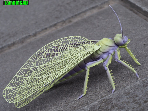 Meganeura Giant Prehistoric Dragonfly 3D Print Model