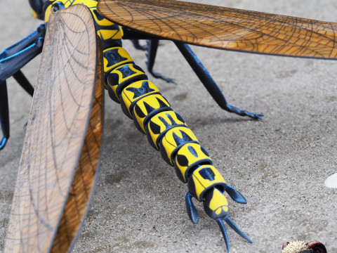 Meganeura Giant Prehistoric Dragonfly 3D Print Model