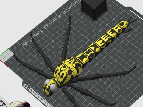 Meganeura Giant Prehistoric Dragonfly 3D Print Model