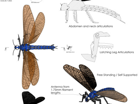 Meganeura Giant Prehistoric Dragonfly 3D Print Model