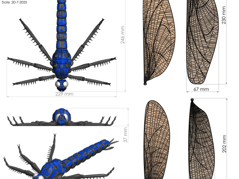Meganeura Giant Prehistoric Dragonfly 3D Print Model