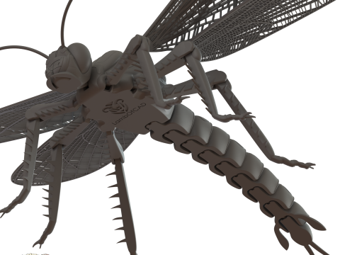 Meganeura Giant Prehistoric Dragonfly 3D Print Model