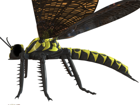 Meganeura Giant Prehistoric Dragonfly 3D Print Model
