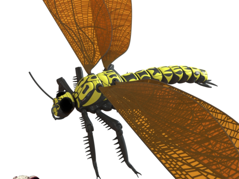 Meganeura Giant Prehistoric Dragonfly 3D Print Model
