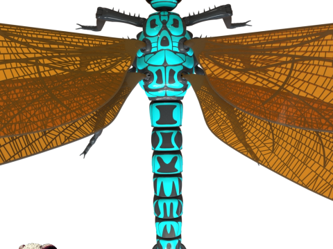 Meganeura Giant Prehistoric Dragonfly 3D Print Model