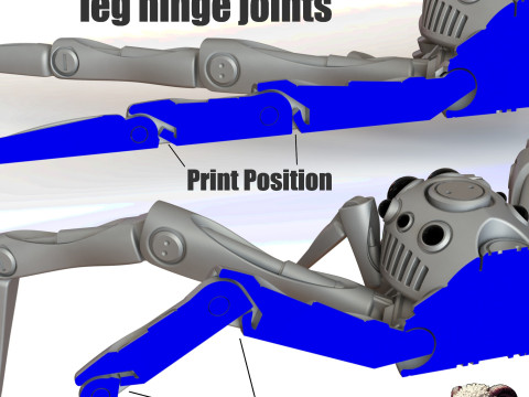 Robotic Jumping Spider 3D 打印模型