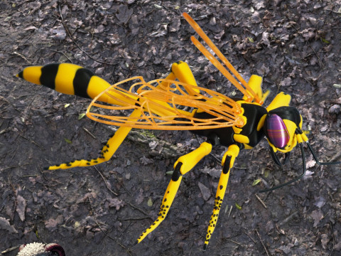 Thread Waisted Wasp 3D printmodel