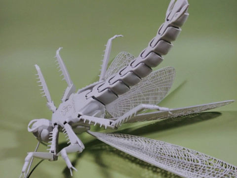 Dragonfly for Painting 3Dプリントモデル