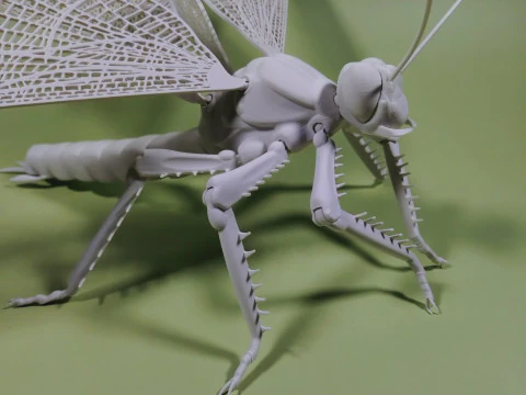 Dragonfly for Painting 3D Print Model
