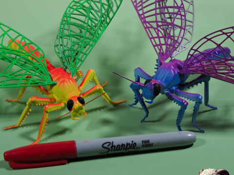 Dragonfly for Painting 3Dプリントモデル