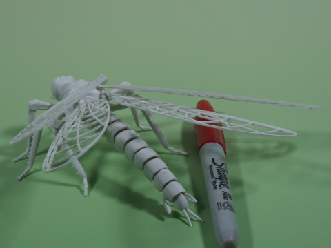 Dragonfly for Painting 3Dプリントモデル