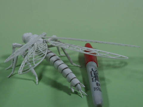 Dragonfly for Painting 3D Print Model