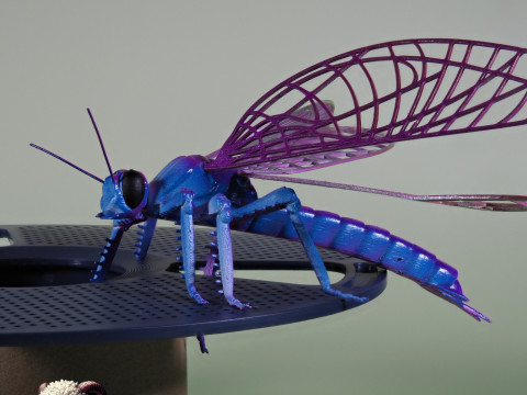 Dragonfly for Painting 3Dプリントモデル