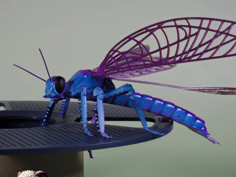 Dragonfly for Painting 3D Print Model