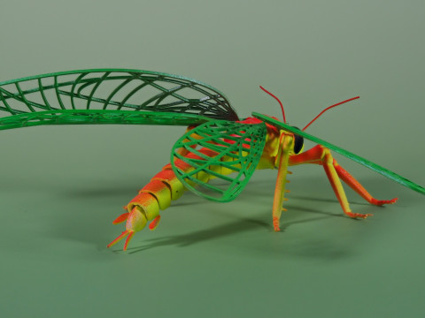 Dragonfly for Painting 3Dプリントモデル