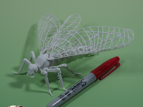Dragonfly for Painting 3Dプリントモデル