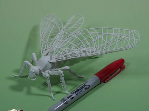 Dragonfly for Painting 3D Print Model