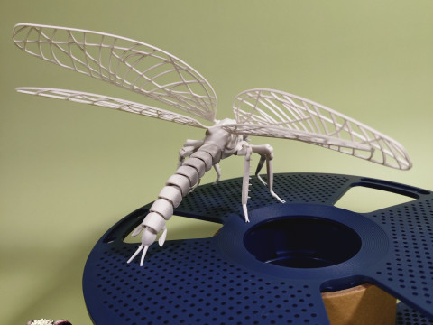 Dragonfly for Painting 3Dプリントモデル