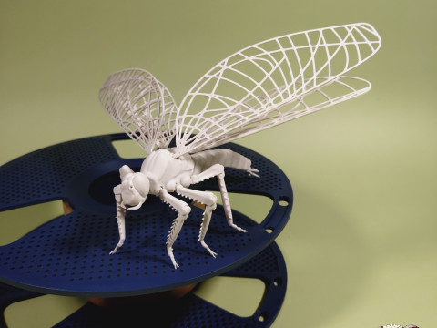 Dragonfly for Painting 3Dプリントモデル