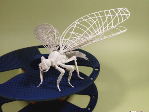 Dragonfly for Painting 3D Print Model