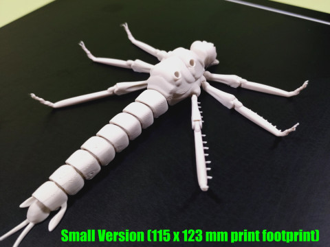 Dragonfly for Painting 3Dプリントモデル