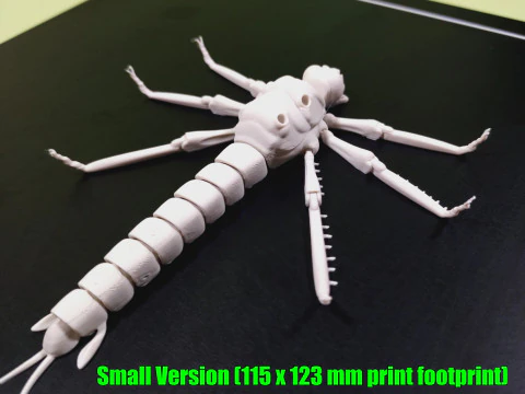 Dragonfly for Painting 3D Print Model