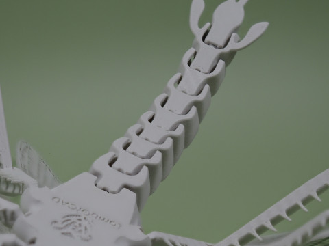 Dragonfly for Painting 3Dプリントモデル