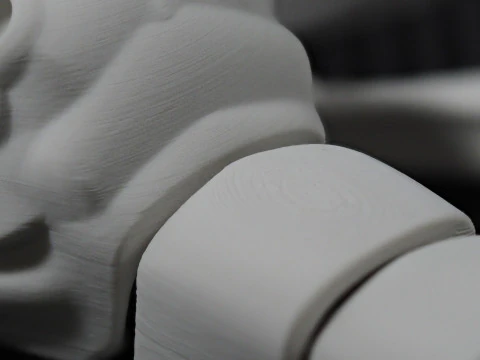 Dragonfly for Painting 3D Print Model