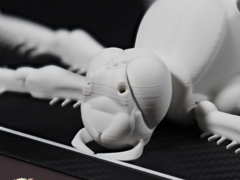 Dragonfly for Painting 3Dプリントモデル