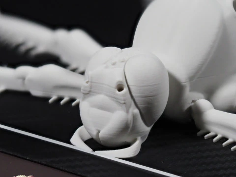 Dragonfly for Painting 3D Print Model