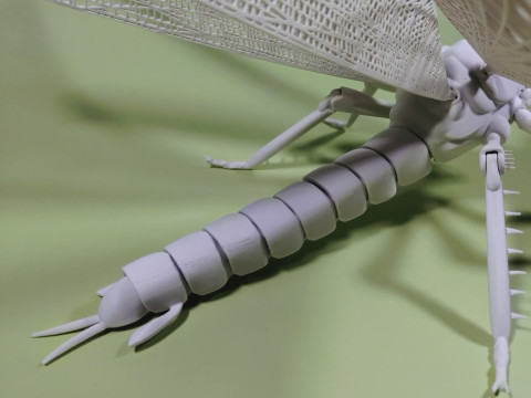 Dragonfly for Painting 3Dプリントモデル