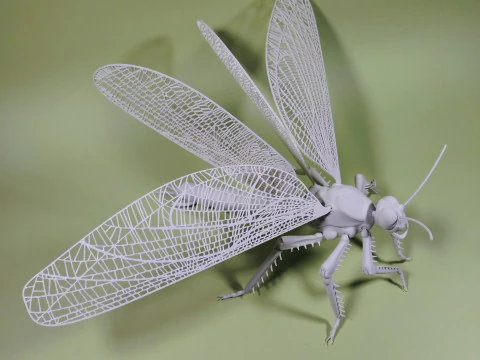 Dragonfly for Painting 3D Print Model