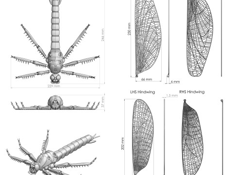 Dragonfly for Painting 3Dプリントモデル