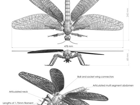 Dragonfly for Painting 3Dプリントモデル