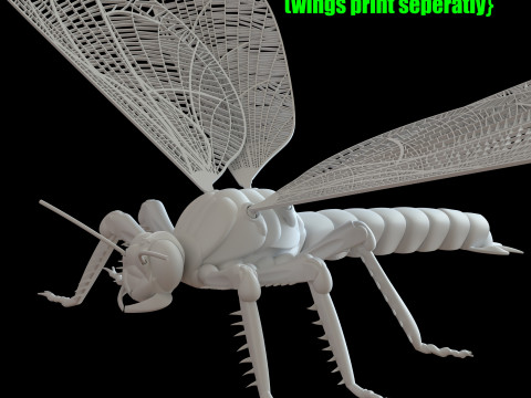 Dragonfly for Painting 3Dプリントモデル