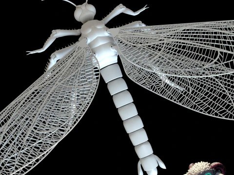 Dragonfly for Painting 3D Print Model