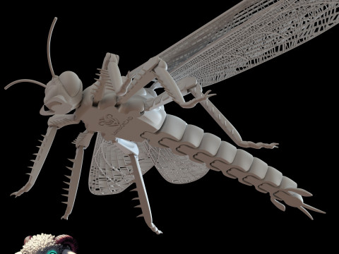 Dragonfly for Painting 3Dプリントモデル