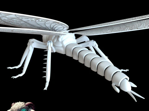 Dragonfly for Painting 3D Print Model