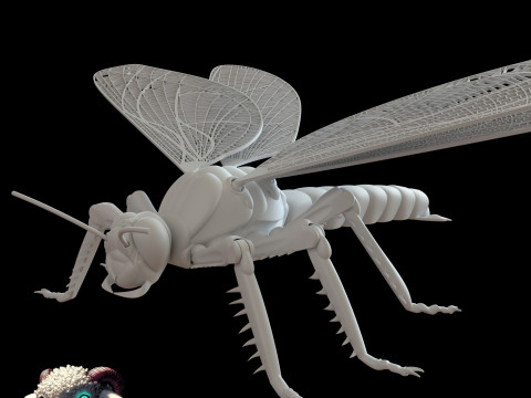 Dragonfly for Painting 3Dプリントモデル