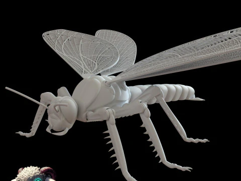 Dragonfly for Painting 3D Print Model
