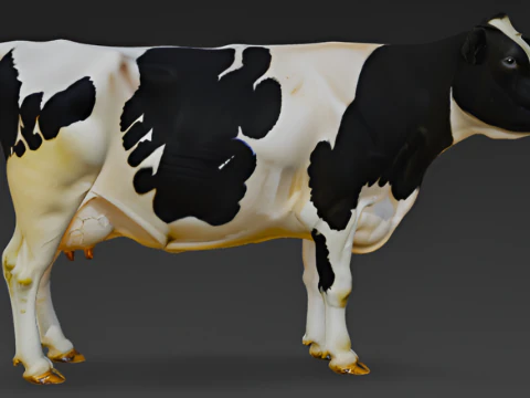 Holstein Cow 3D Model