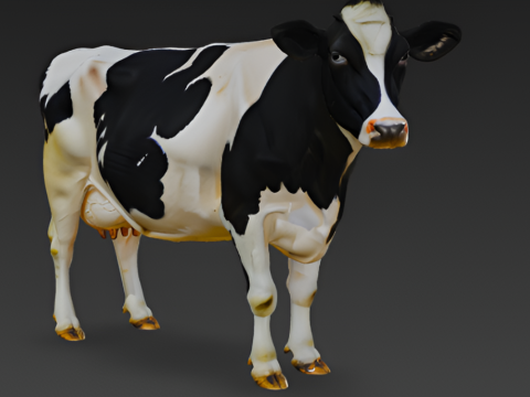 Holstein Cow 3D Model